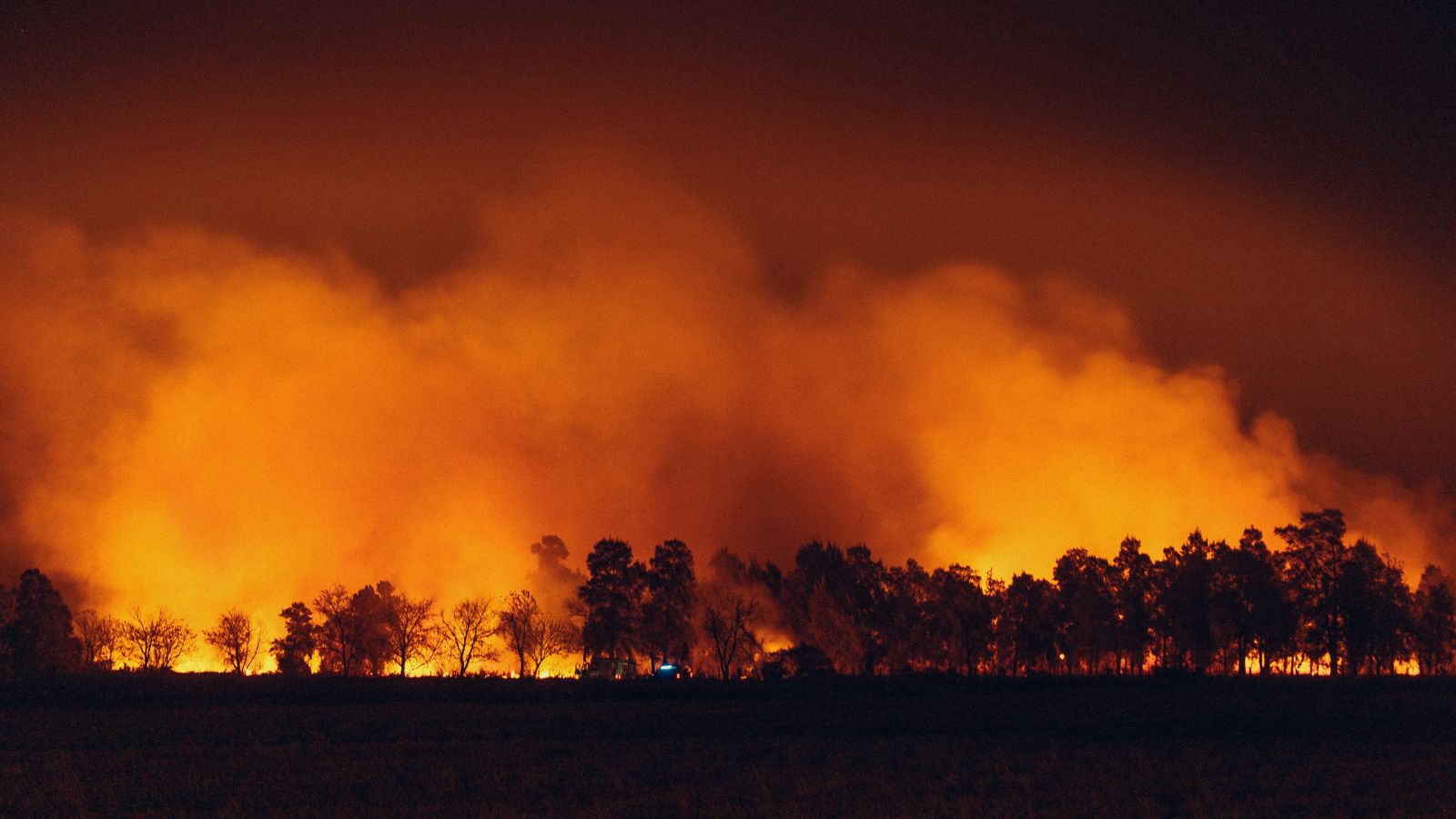 Bushfire